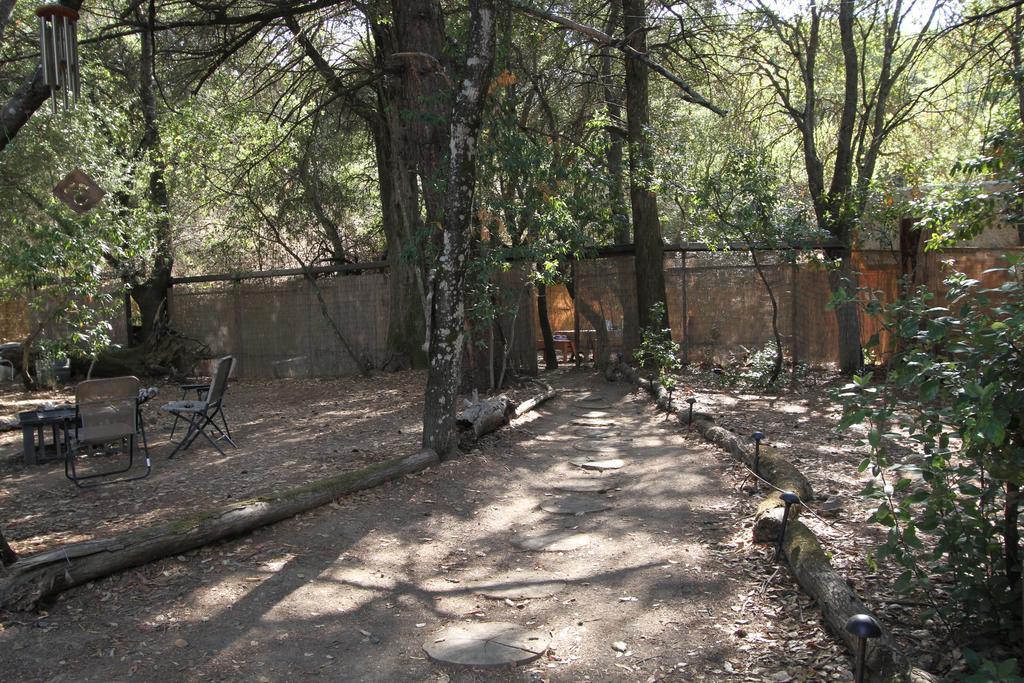 霍比特人小屋露营地 杰瑟维尔 客房 照片