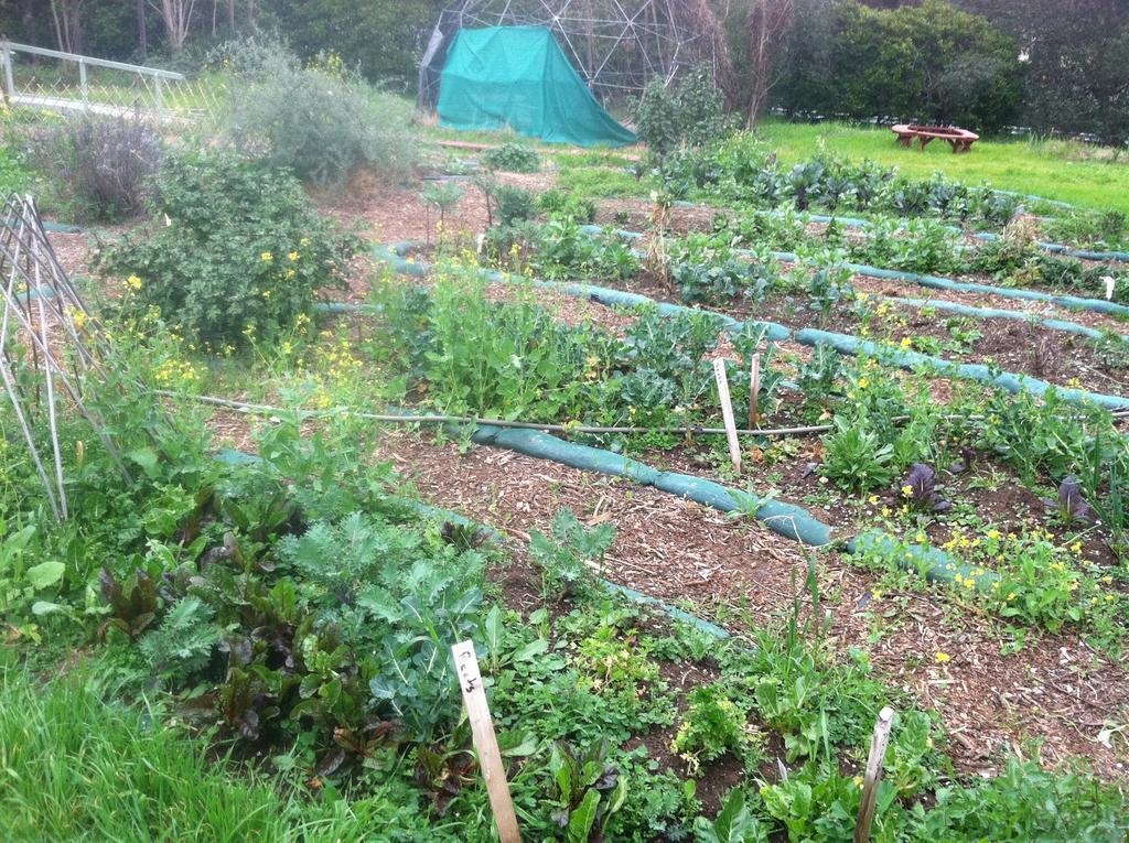 霍比特人小屋露营地 杰瑟维尔 外观 照片